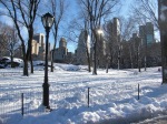 Snow Day in Central Park